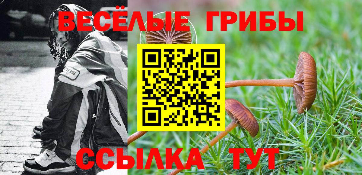 Малоярославец  купить  цена  Вход с VPN  Псилоцибиновые грибы GOLDEN TEACHER 